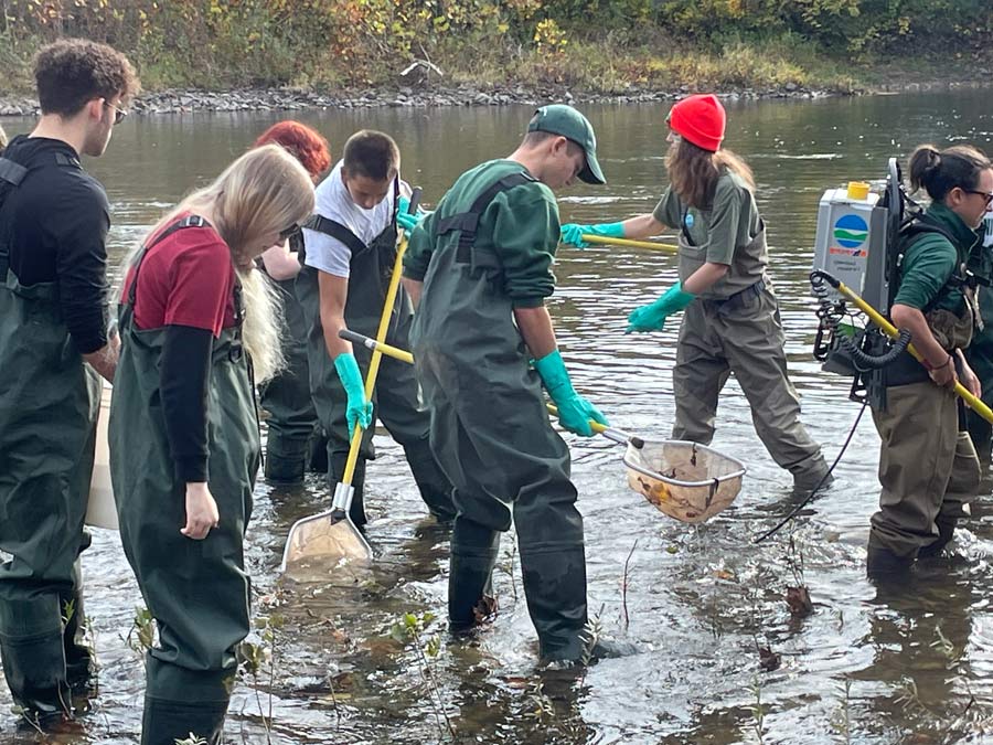 Environmental students working in a stream