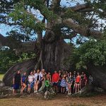 A large group os student standing under a large tropical tree in Puerto Rico