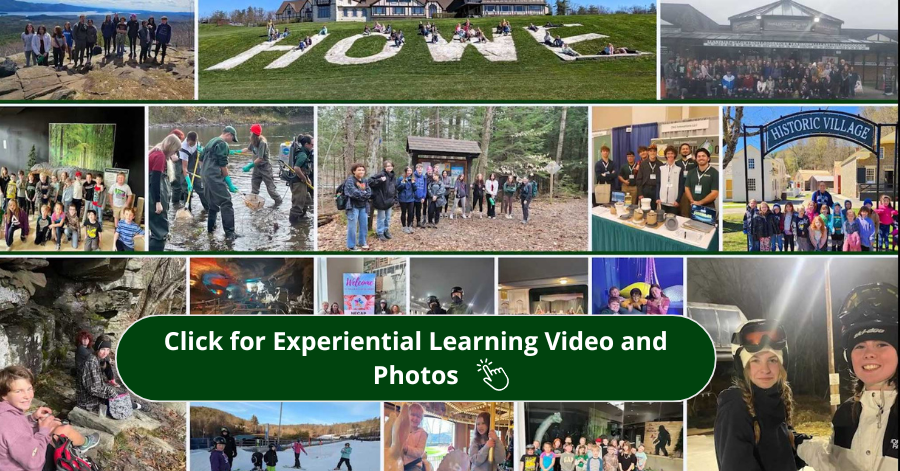 Montage of photos from field trips. Click for Experiential Learning Video and Photos.