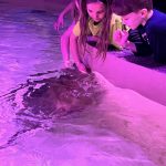 Students touch a sting ray.