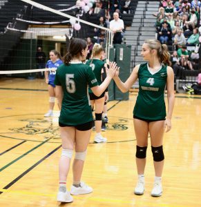 Two volleyball players give each other a high five on the court.